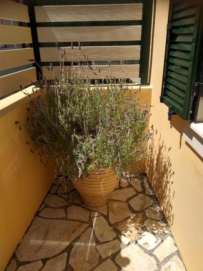 Апартаменты Eirini'S House Лиападес Экстерьер фото